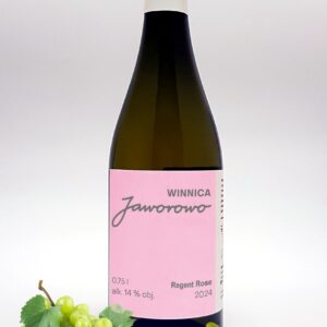 Regent Rose <br>2024