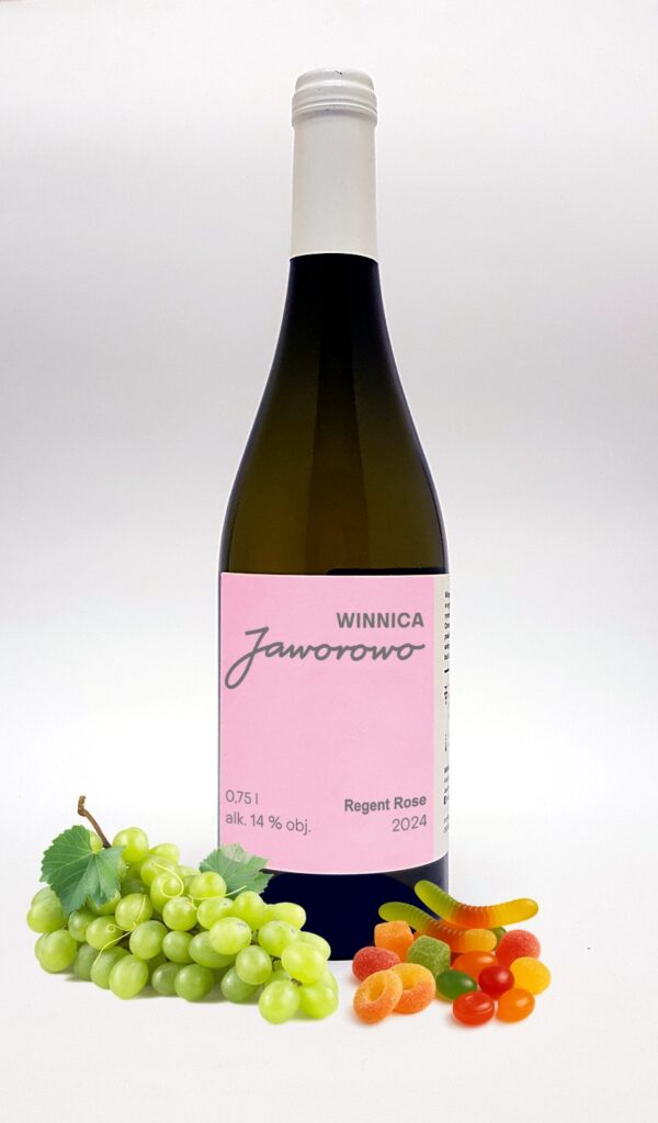 Regent Rose <br>2024