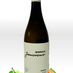 Solaris klasyczny<br>2023