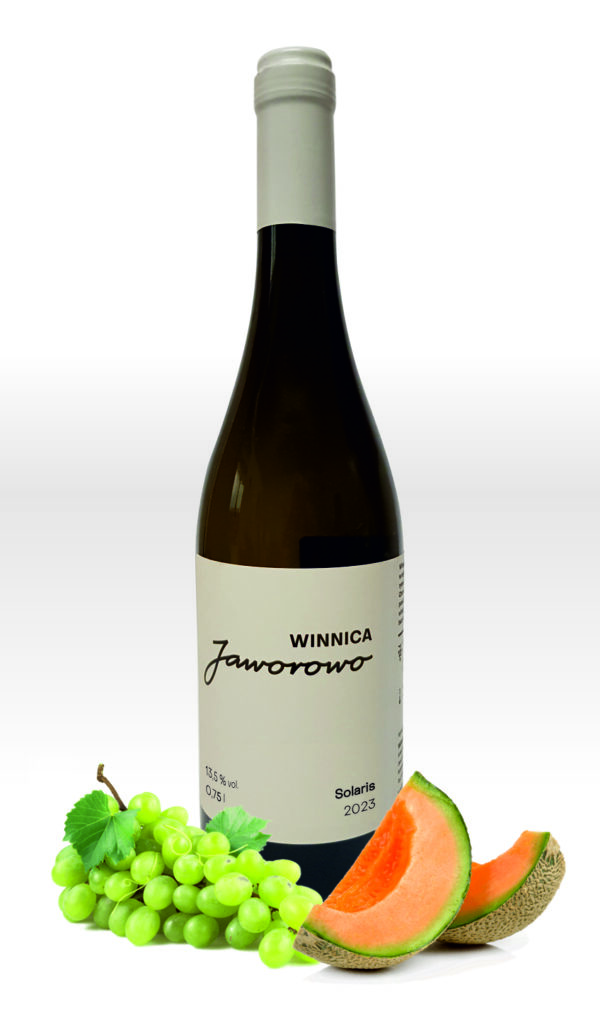 Solaris klasyczny<br>2023