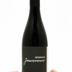 wino cabernet cortis 2024