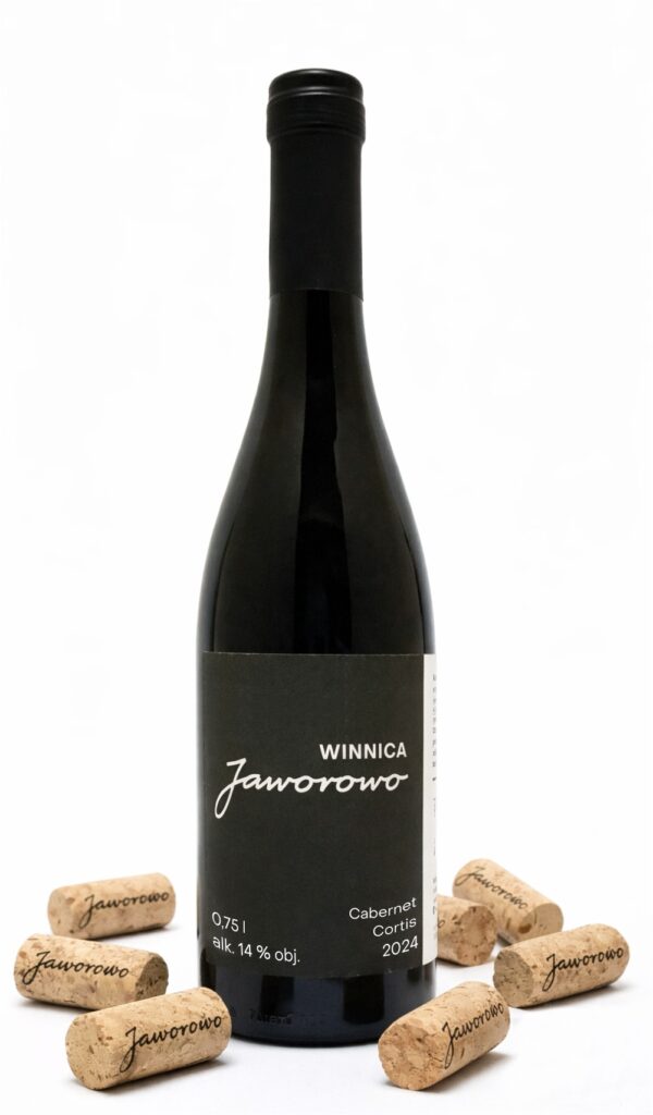 wino cabernet cortis 2024